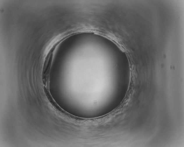 X0000072990007200608041320