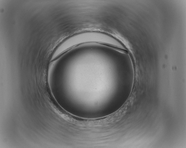 X0000072990009200608041320