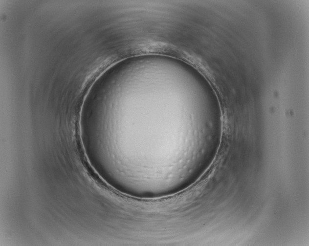 X0000072990010200608041320