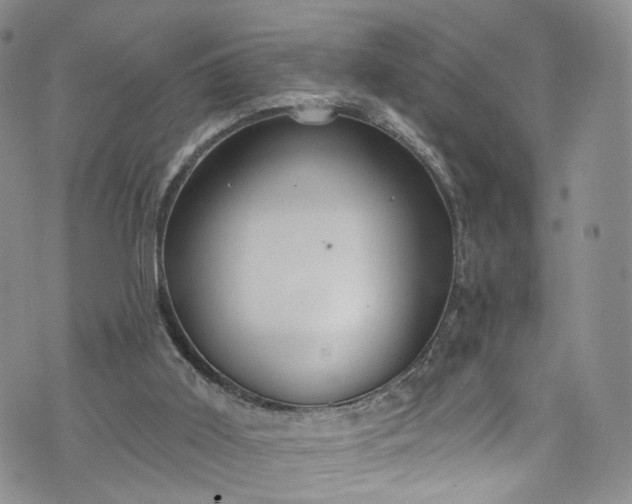 X0000072990011200608041320