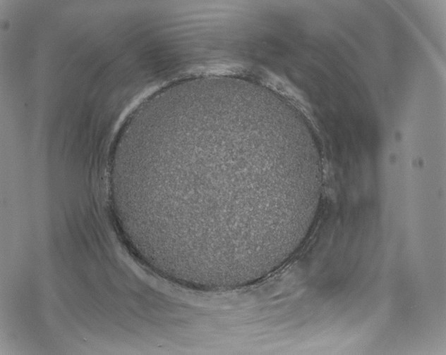 X0000072990012200608041320