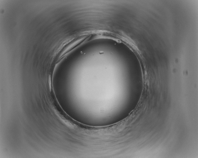 X0000072990013200608041320