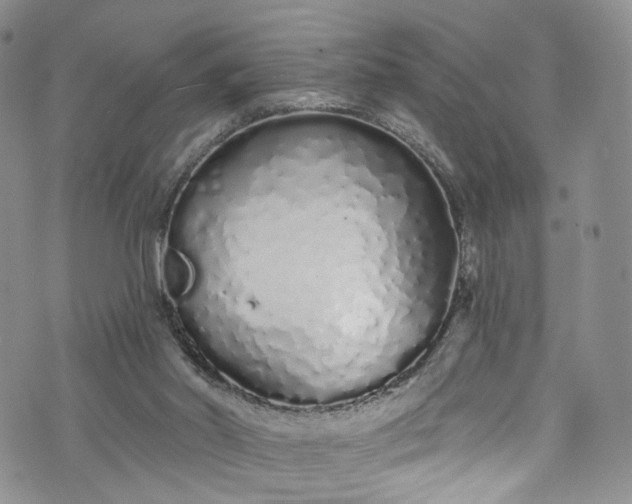 X0000072990014200608041320