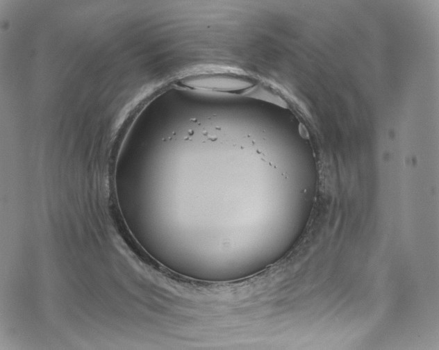 X0000072990015200608041320