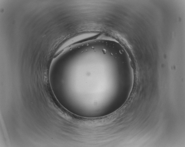 X0000072990017200608041320