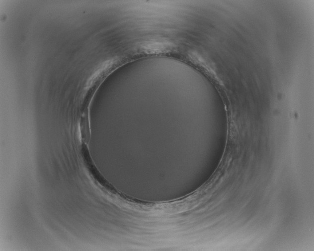 X0000072990019200608041320