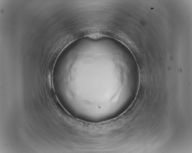 X0000072990022200608041319