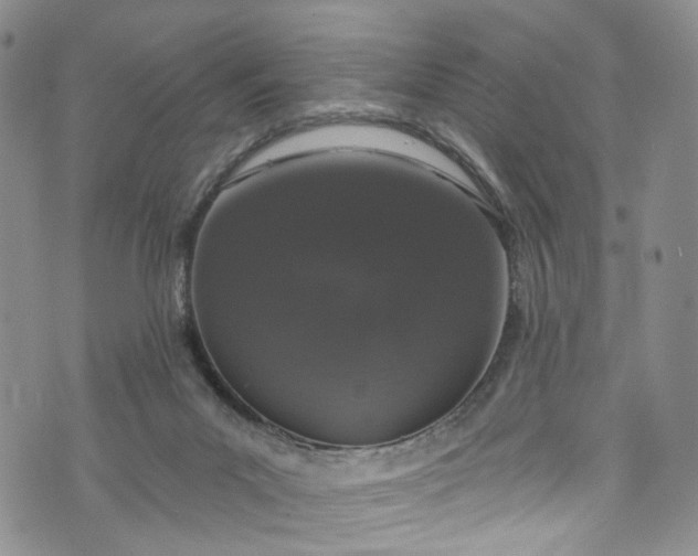 X0000072990023200608041319