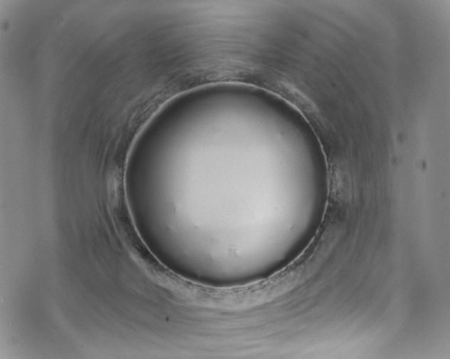 X0000072990026200608041319