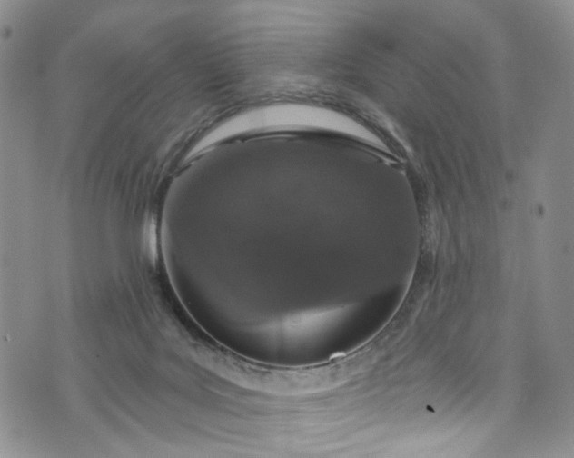 X0000072990027200608041319