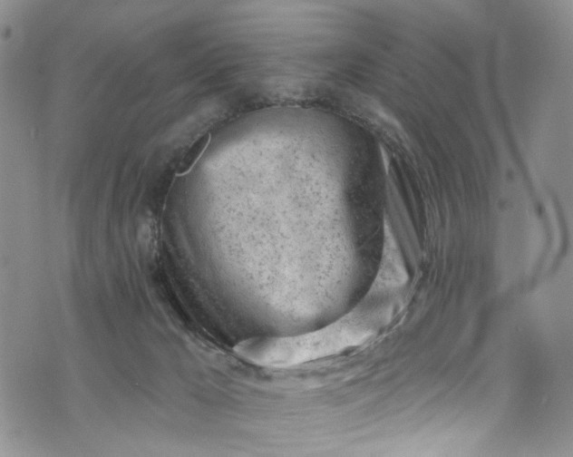 X0000072990029200608041319