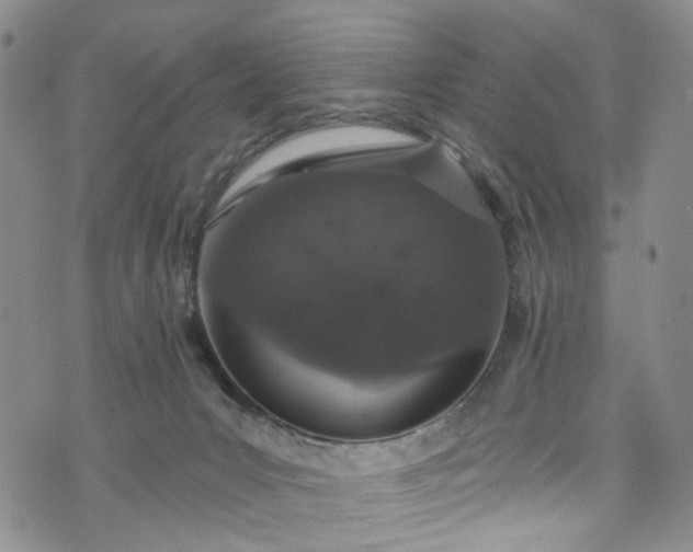 X0000072990031200608041319