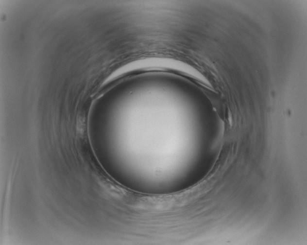 X0000072990033200608041319