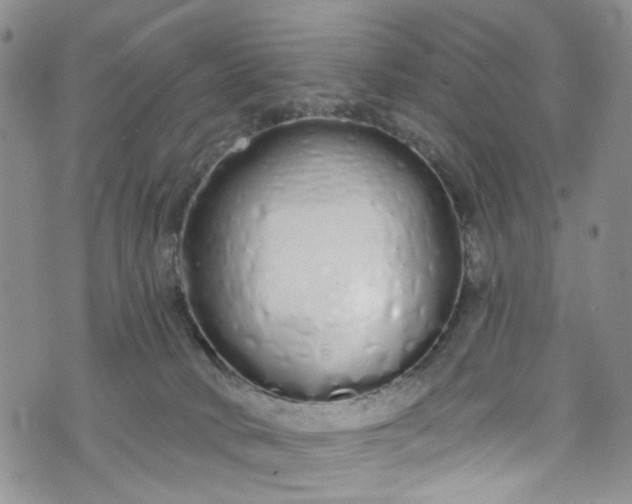 X0000072990034200608041319