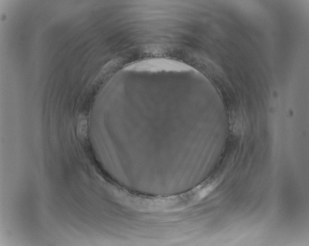 X0000072990036200608041319