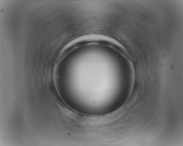 X0000072990037200608041319