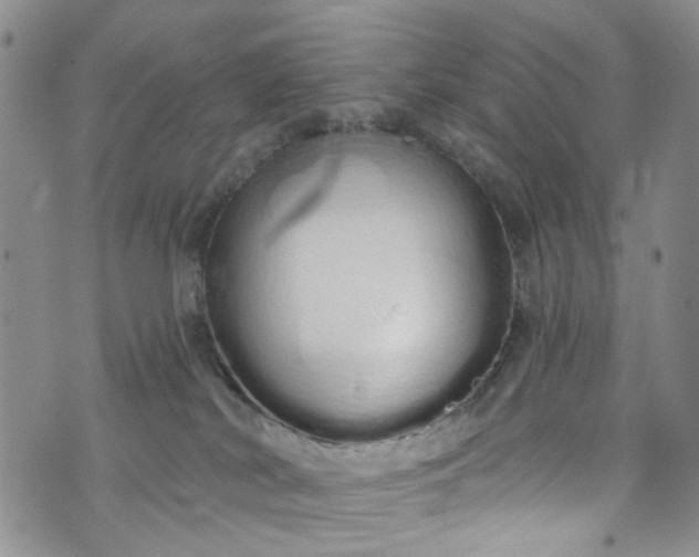 X0000072990038200608041319