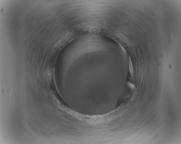 X0000072990039200608041319