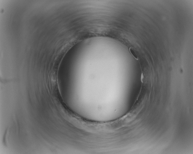 X0000072990040200608041319