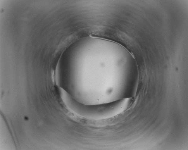 X0000072990041200608041319