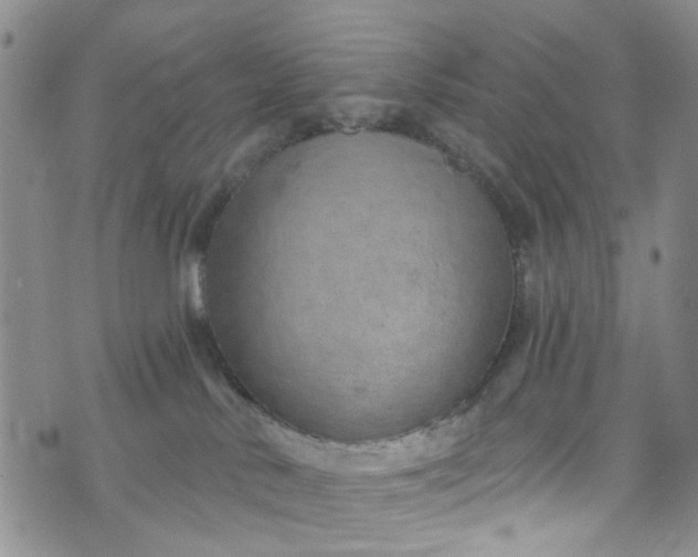 X0000072990042200608041319