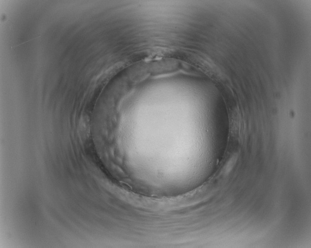 X0000072990043200608041319