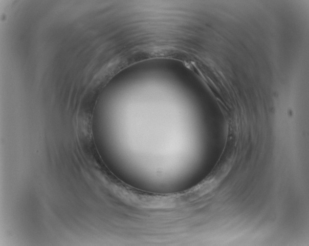 X0000072990044200608041319