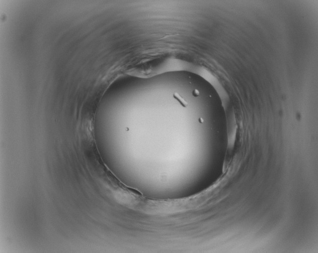 X0000072990045200608041319