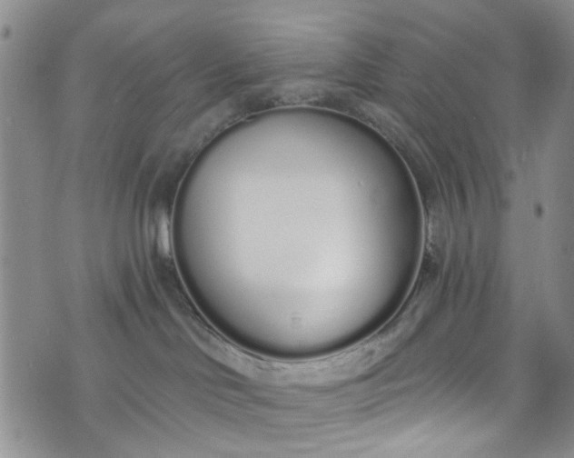 X0000072990046200608041319