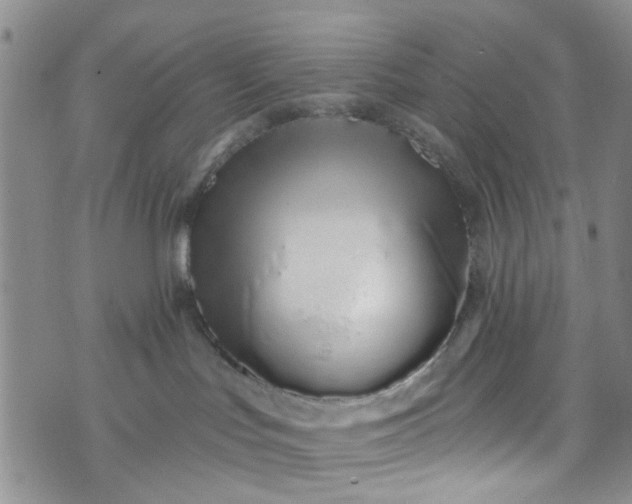 X0000072990047200608041319