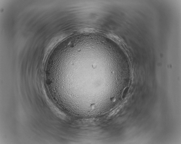 X0000072990049200608041318