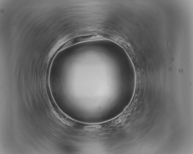 X0000072990051200608041318