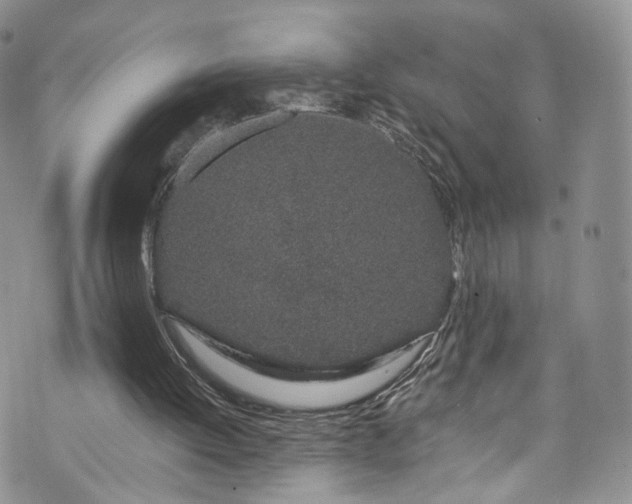 X0000072990052200608041318