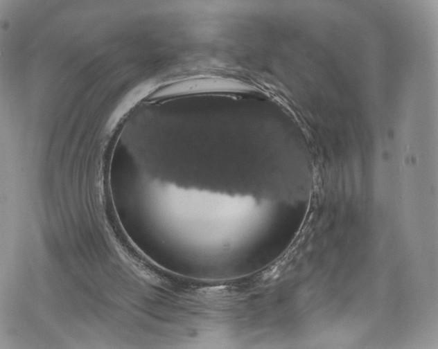 X0000072990054200608041318