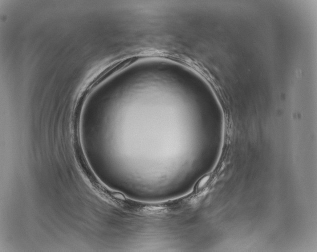 X0000072990055200608041318