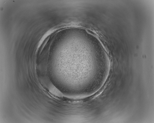 X0000072990056200608041318