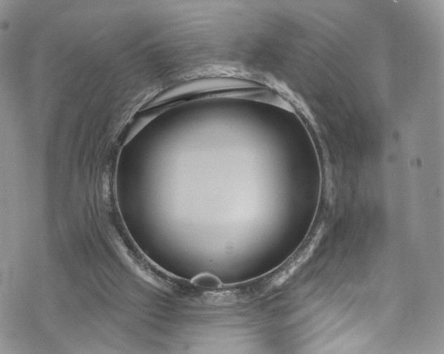 X0000072990057200608041318