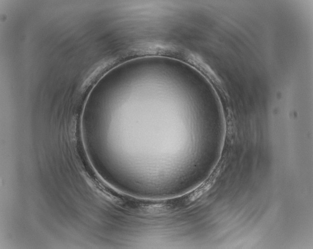 X0000072990058200608041318