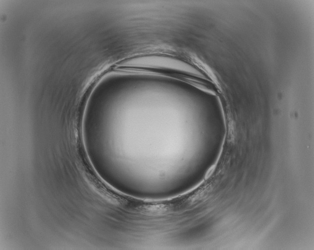 X0000072990059200608041318