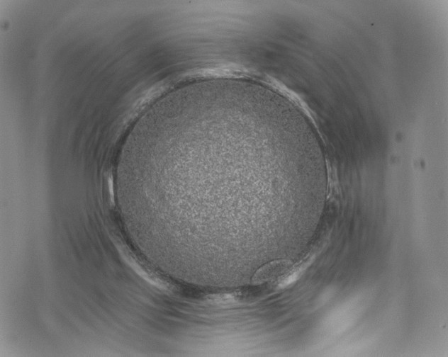 X0000072990061200608041318