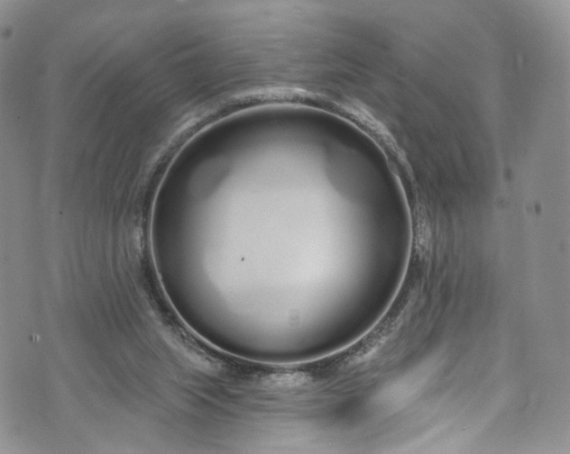 X0000072990063200608041318