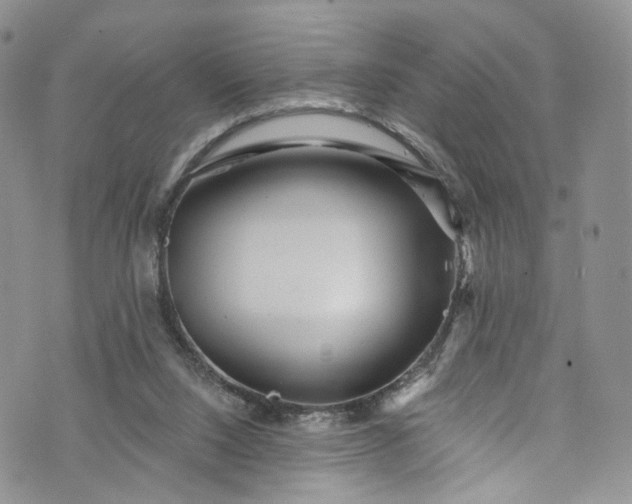 X0000072990064200608041319