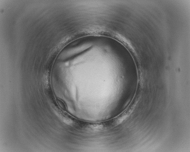 X0000072990065200608041319