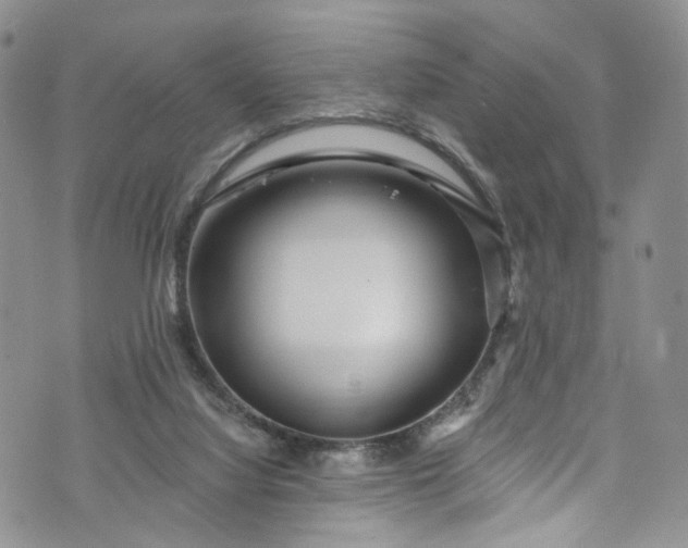 X0000072990068200608041319