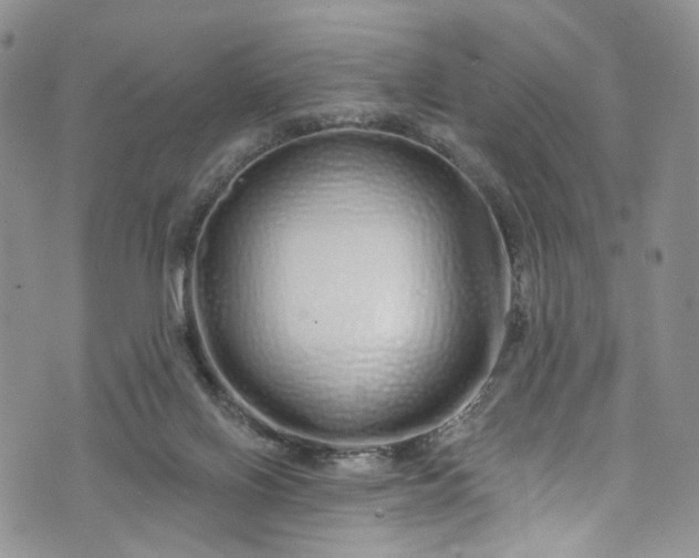 X0000072990070200608041319