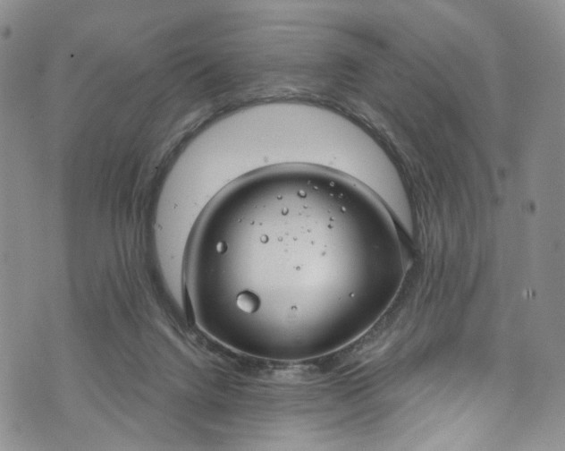 X0000072990072200608041319