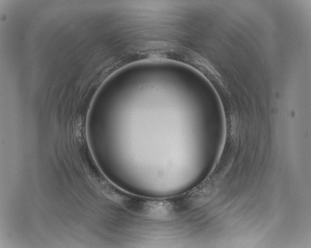 X0000072990073200608041319