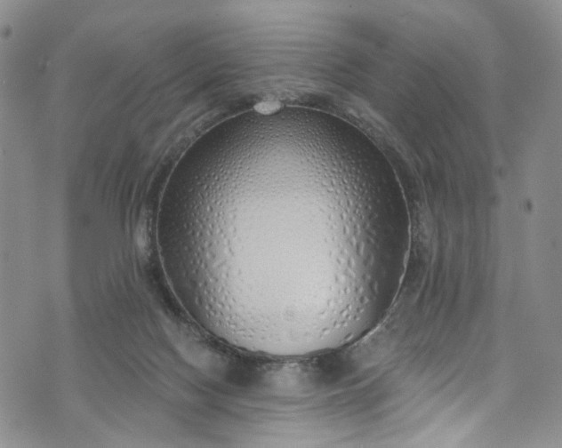 X0000072990074200608041319