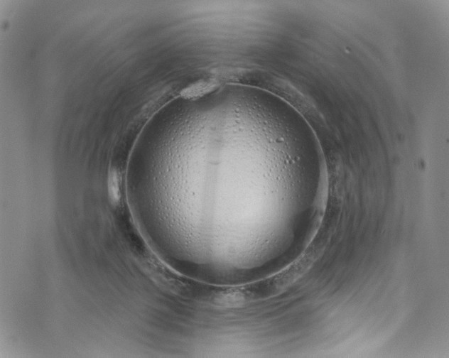 X0000072990075200608041319