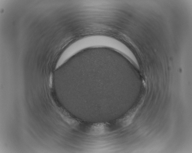 X0000072990076200608041319